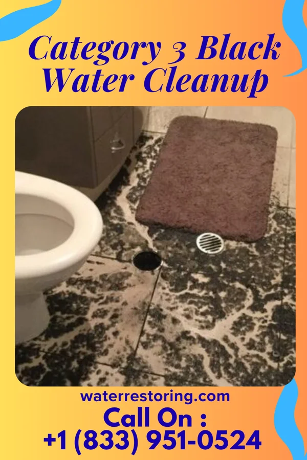 Category 3 Black Water Cleanup in Sinton, TX