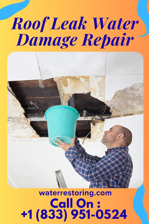 Roof Leak Water Damage Repair in Sinton, TX