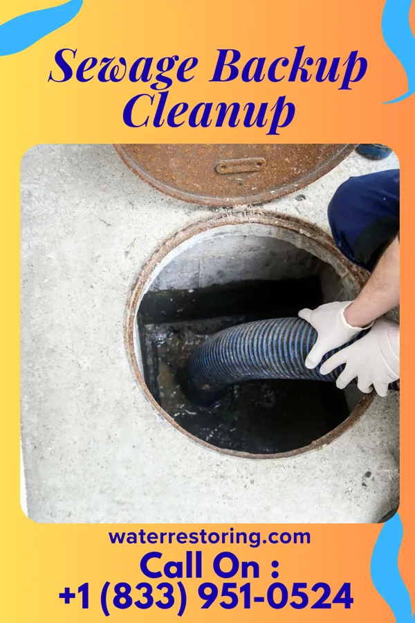Sewage Backup Cleanup in Sinton, TX